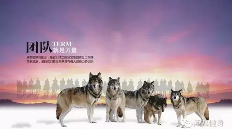  罗马后防中坚定海神针，狼队门线上化解危机时刻  